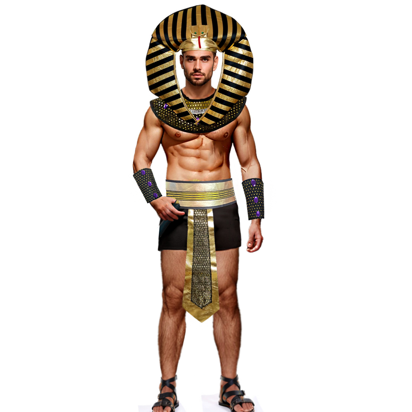 Fantasia de Carnaval para Home - Men Accessories Egypt avaliação e preço
